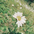 @데이빗-y1c