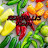 REDCHILLI'S_RECIPE