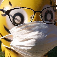 s zkey のレーダーch