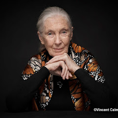 Dr. Jane Goodall & the Jane Goodall Institute USA