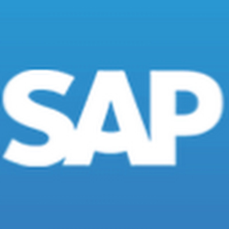 SAP Business One in Hindi