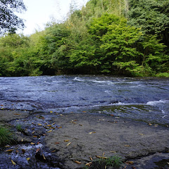 Practubeアイコン画像