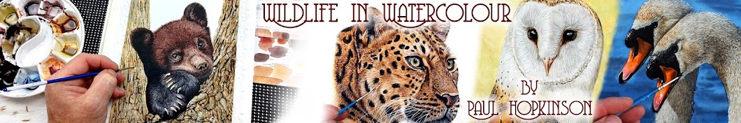 Wildlife in Watercolour YouTube kanalı avatarı