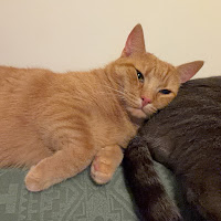 Profile Picture of NPC123