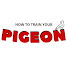 9mU3ACbKtYU-channel-avatar-How To Train Your Pigeon