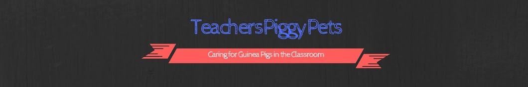 TeachersPiggyPets YouTube channel avatar