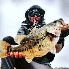 FiSHINsanity