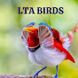 LTA Birds logo