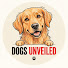 bjq-p09-ojI-channel-avatar-DOGS UNVEILED