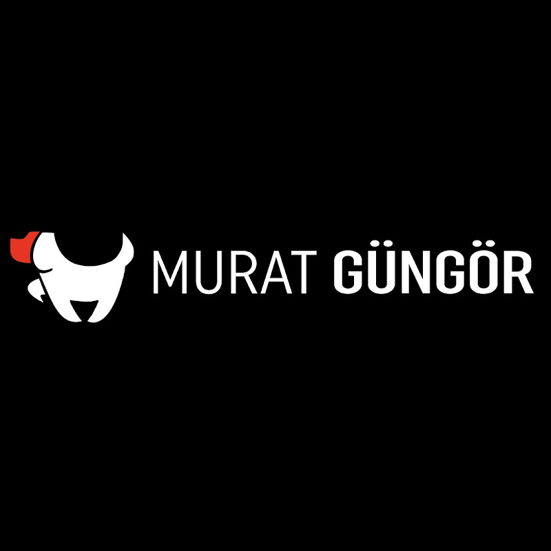 Köpek Eğitmeni Murat Güngör İstanbul Köpek Eğitimi