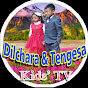 Dilchara & Tengesa kids’ TV, logo
