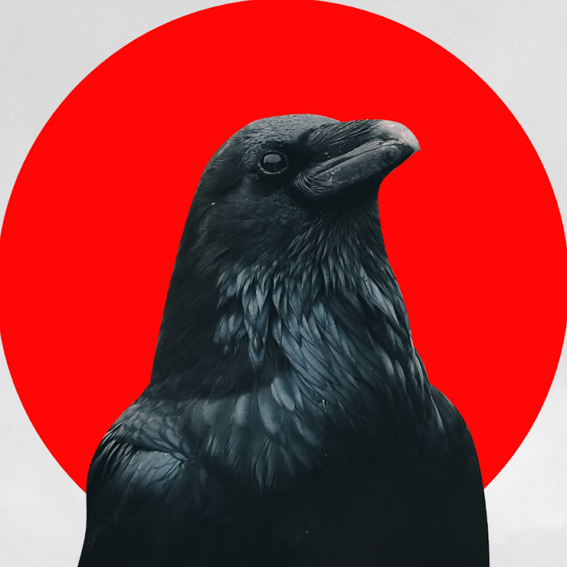 پارانرمال Logo