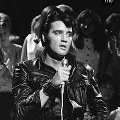 𝐄𝐥𝐯𝐢𝐬 𝐏𝐫𝐞𝐬𝐥𝐞𝐲 ♛ 𝑬𝑫𝑳𝑹