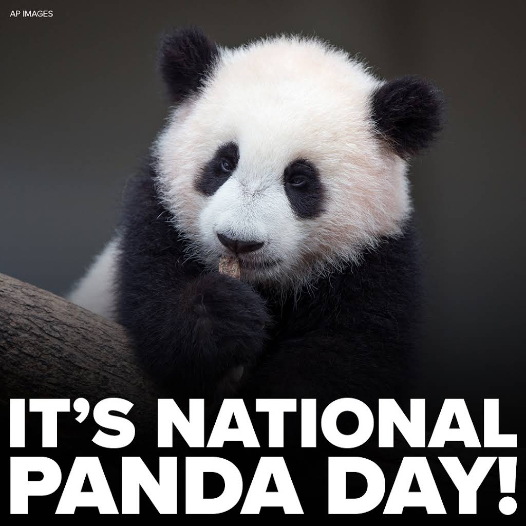 World Wildlife Fund Panda