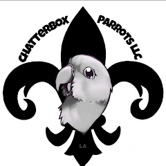 Chatterbox Parrots Avatar