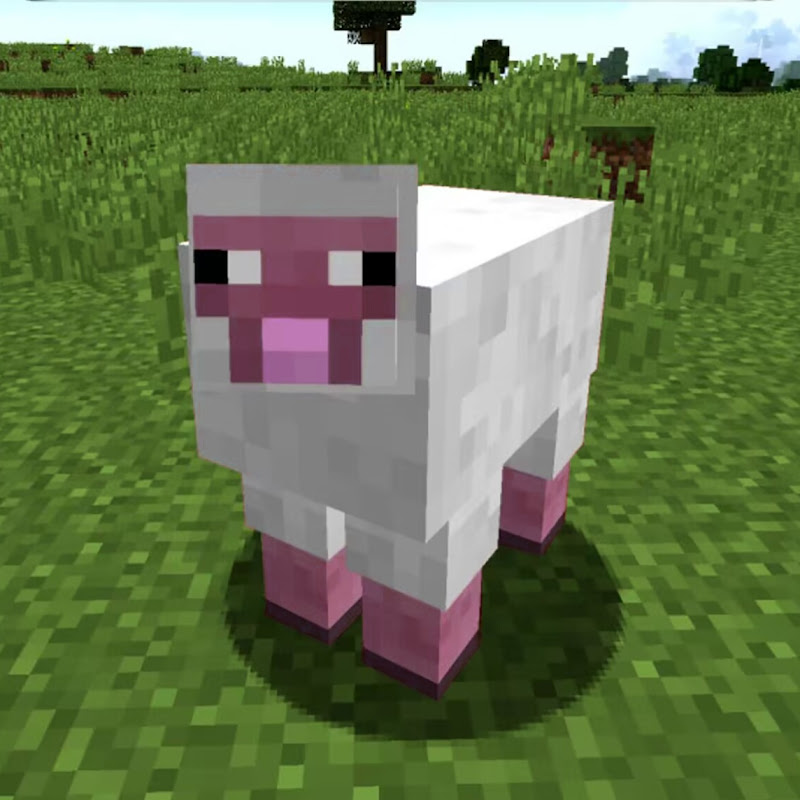 羊仔副频道 Logo