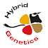 eqicJitB5rk-channel-avatar-Hybrid Genetics