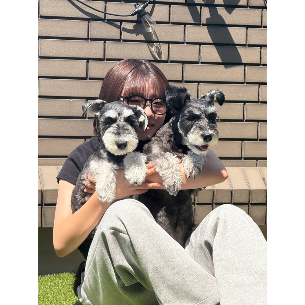 ❤️ろこ ろこ (@G_1341tk) / X