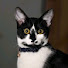 5-B7rL7BxOw-channel-avatar-CoachBsWife2