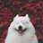 @딸기맘-v5j