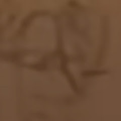 Rosario xd 3 YT