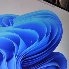 シャーシャ TV oncasino TV