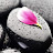 @meyoung_see