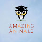 Amazing Animals logo