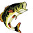 @CrazyfishinTV