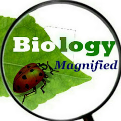 Biology Magnified