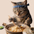 PV6nnOZFOr8-channel-avatar-BossCatCookingVEVO