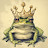 @Officialfrogmaster