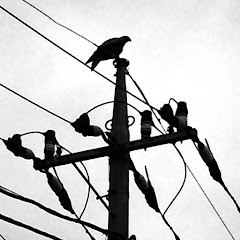 雷鳴轟くどすこいわんこそば