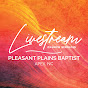 Pleasant Plains Baptist Services logo