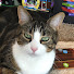 SAu0amDBMUM-channel-avatar-Missing Azeroth with Patience