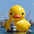 @rubberduck2.0 Avatar