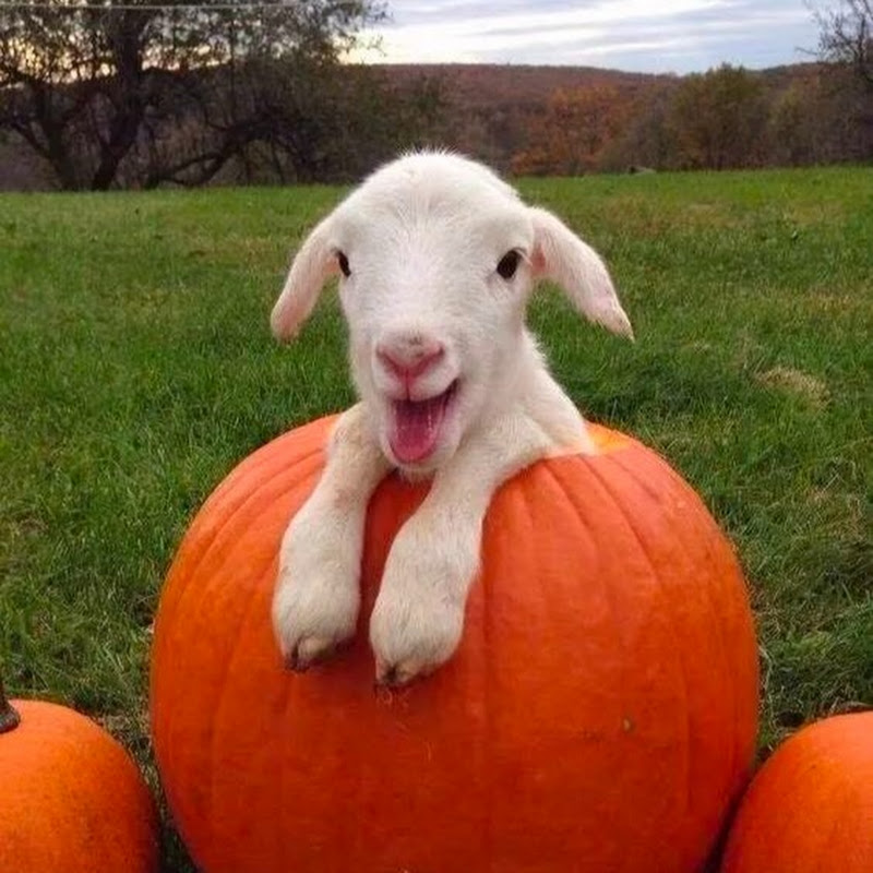 30th Parallel North Farm