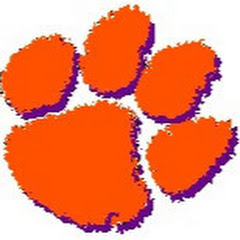 tigerray2