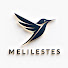 v6tmVIXslbg-channel-avatar-MELILESTES