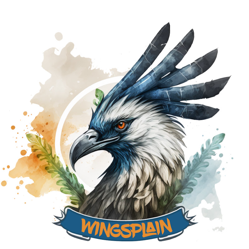 Wingsplain Gaming