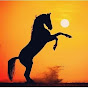 MARWARI HORSE TEAM logo