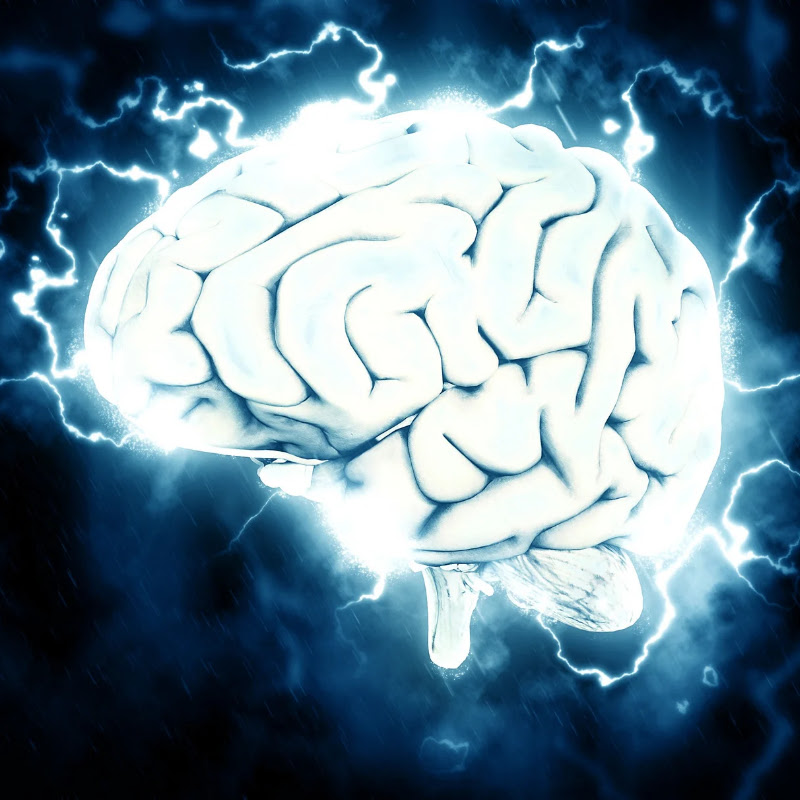 Play With Brain 
