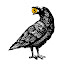 EHRVZEvZ6YA-channel-avatar-Economic Raven