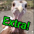 f3dd4BmFA2c-channel-avatar-The Turkey's 2nd Opinion