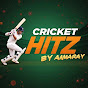 Cricket Hitz by AmaRay logo