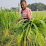 Y6Tf0rLdIoA-channel-avatar-Vimal Goat Farming Tips