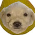 -y9sz1P8IAY-channel-avatar-Kevin