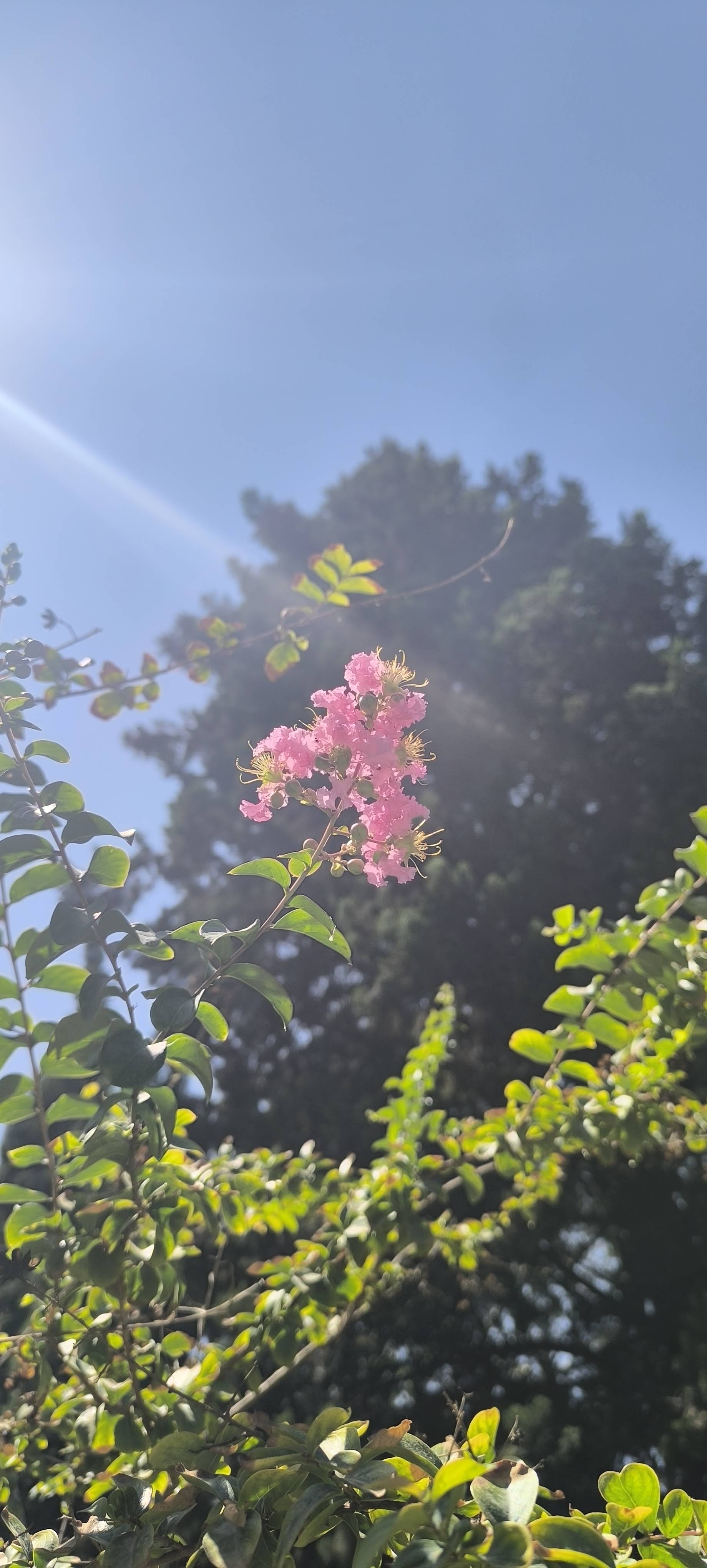 Post from Hana - YouTube