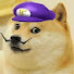 FeUZsGREhIM-channel-avatar-Doggyextreme101