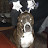 @Z-bone83 Avatar